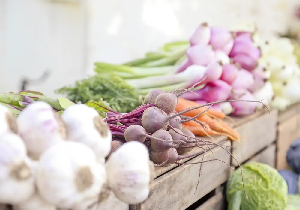 A Morning At The Harbour Market With Our Produce Team