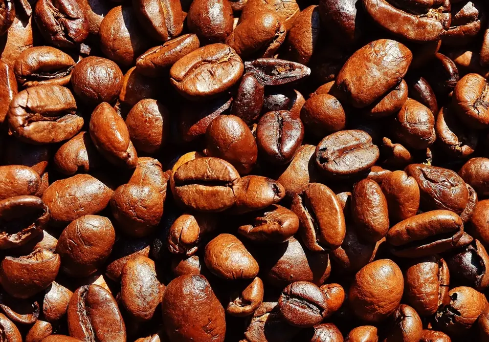 The Slow Art Of Our House Cold Brew